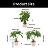 Artificial Money Plant Artificial Money Tree Potted Plant Realistic Simulation Money Tree for Indoor Decoration