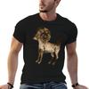 Aries Horoscope Sign TShirt Basic Casual Wear Short Sleeve Top
