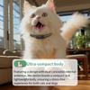 4G Pro GPS Pet Tracker - Real-Time Locator Collar with GPS/Beidou/WiFi, Waterproof, Voice Call & Geo-Fence (CE/FCC)