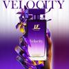 La French Velocity Perfume for Women 100ml | Premium Eau De Parfum | Long-Lasting Fresh Floral Fragrance | Bergamot, Amber & Sandalwood Notes