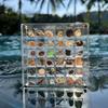 36 grids Acrylic Seashell Display Box with Magnets Durable Starfishs Trinket Storage Case for Bead Nail Jewelry