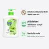 Dettol Plant Care Hand Wash