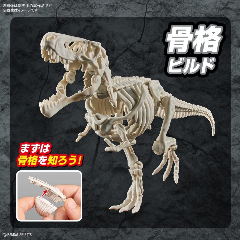 Bandai Spirits  Bandai Spirits  Planosaurus Tyrannosaurus Color Coded Plastic Model