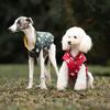 Christmas Dog Jacket Party Printing Reversible Winter Dog Coat for Small Dogs Soft Padded Warm Dog Clothes with Hole for Leash