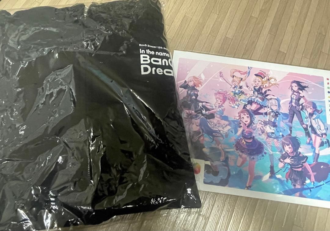 

[USED] BanG Dream! 10th LIVE merchandise included ticket bonus: hoodie + leaflet
