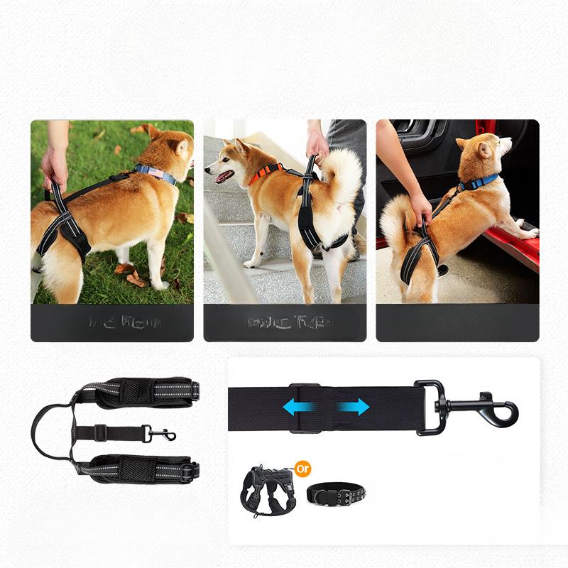 Dierenbenodigdheden: Honden Achterpoot Assistentie, Ondersteuning voor Middelgrote en Grote Honden, Gewonde Honden en Oudere Honden