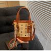 Cartoon Bear Print Portable Small Bag Female 2025 Spring Niche Design Oblique Span Bucket Bag