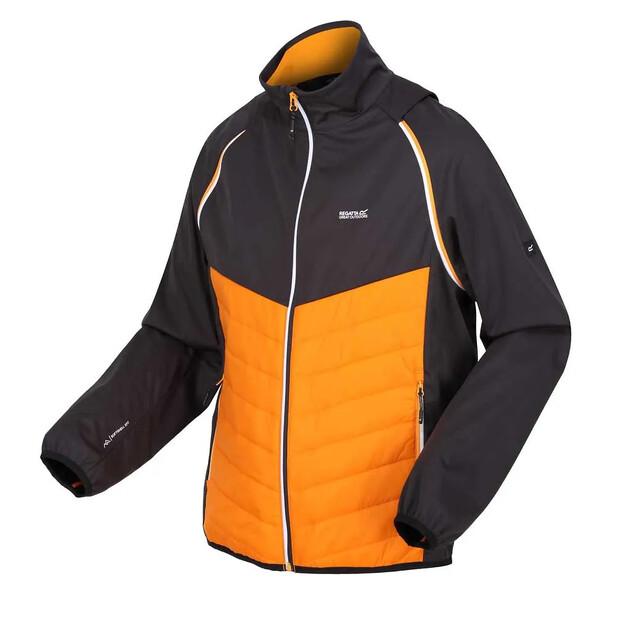Regatta Steren Hybrid Softshell-Jacke
