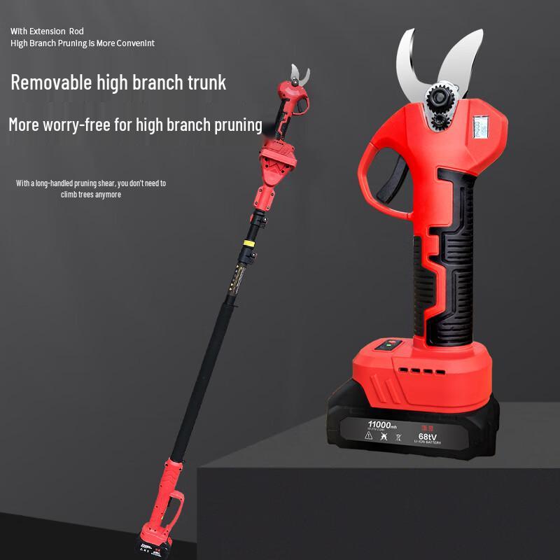 Belton Cordless Pruning Shears with Telescopic Pole