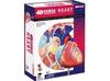 4D Human Anatomy Model Heart Puzzle 626004 Fame Master 4D Master Educational Toy STEM