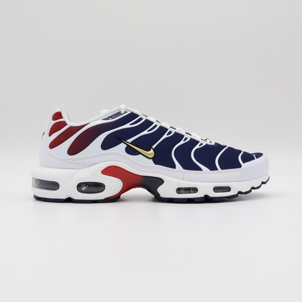 FZ4776-100 Nike Air Max Plus Paris Saint Germain (Erkeklerin)