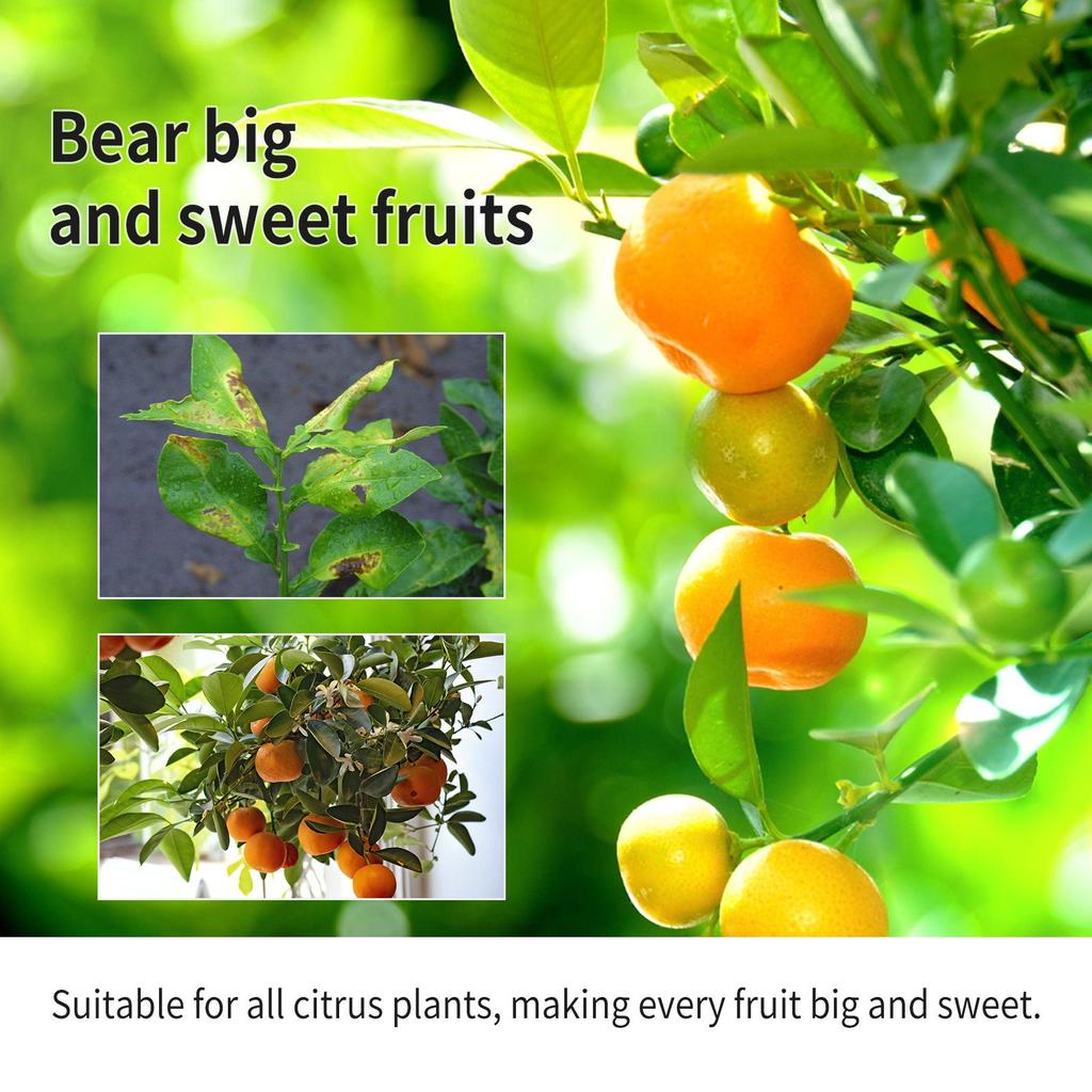 100ml MOONSPRY Liquid Concentrate Fertilizer Orange Lemon Plant Supplement Fertilizer Balance Nutrient Solution