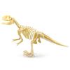 7Pcs/Set  Dinosaur Model Creative Collectible Detailed Archeological Dinosaur Skeleton Toy for Child