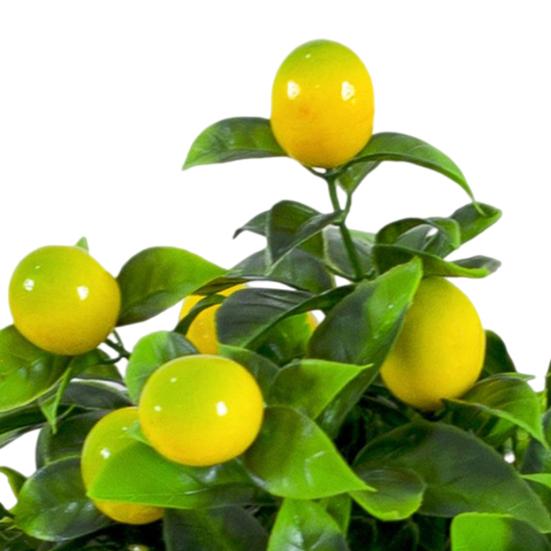 Simulare unică Plante în ghiveci Îngrijire ușoară Aplicație largă practică