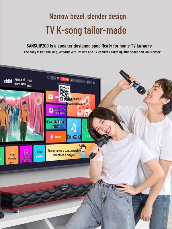 Shanshui P200 Home KTV Audio System