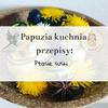 Papuzia Kuchnia Parrotplanet - Sushi de Pássaro - Receita Autoral da Adzioszka de Parrot Disaster