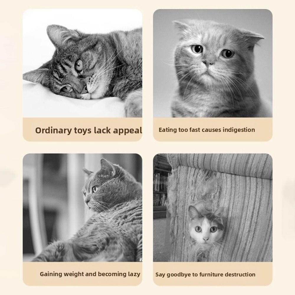 Built-in Feather Electric Cat Rotating Toy Creative Smart Pet Turntable Toy Pet Supplies