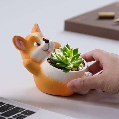 Hayvan Saksı Kedi Köpek Sukulent Saksıları Reçine Saksı Drenaj Deliği ile Sukulentler için Ev Ofis Masaüstü Dekorasyonu