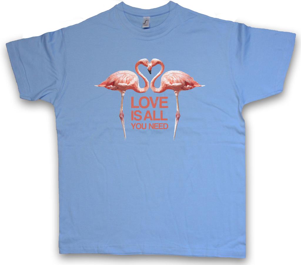 LOVE IS ALL YOU NEED FLAMINGOS T-Shirt Mens Womens Tees Top Heart Princess Fairies Free