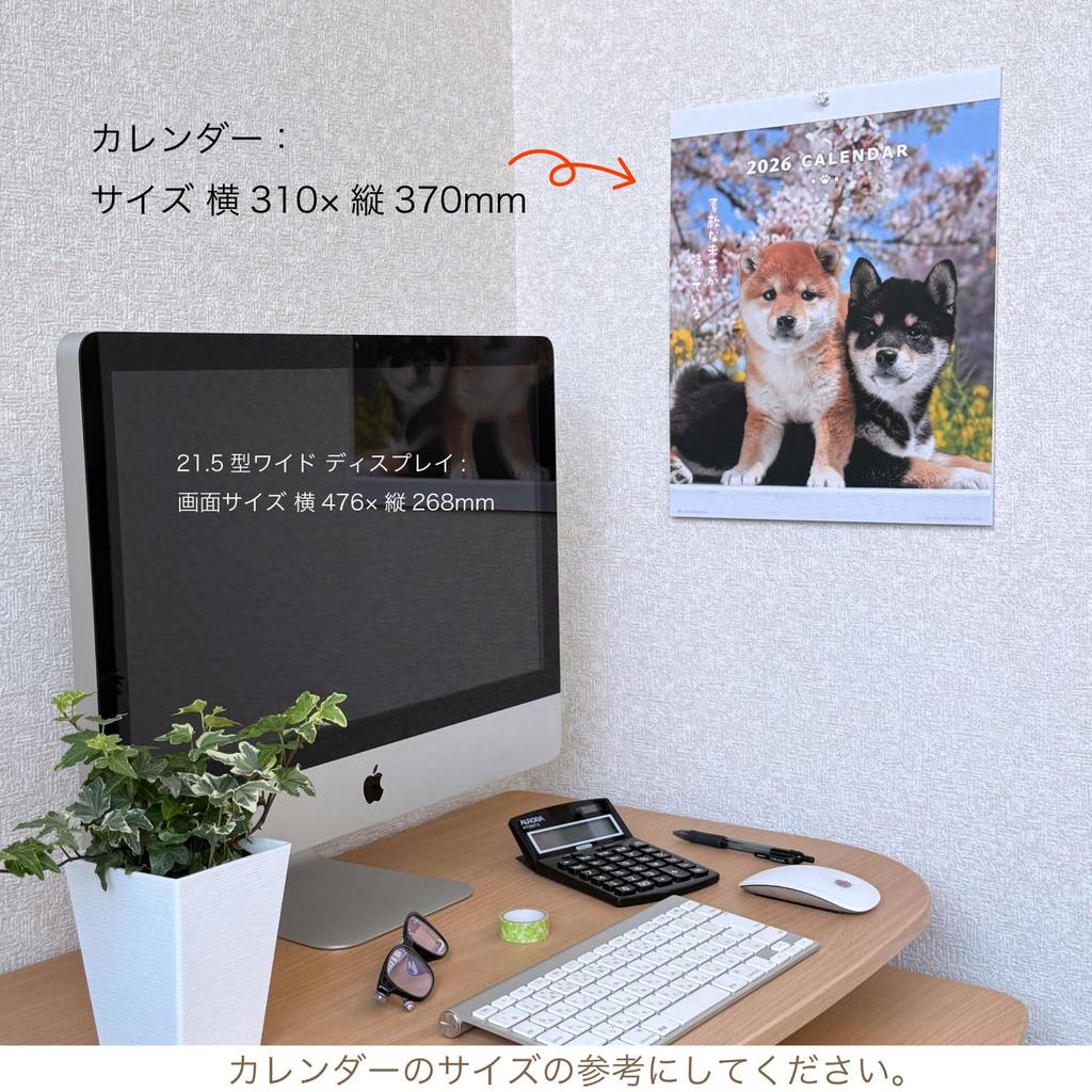 Active Corporation 2026 Calendar Wall Hanging DOG Wall Calendar Starts January 2026 26ACL-01