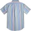 Polo Ralph Lauren Gestreiftes Polo Logo Bestickt Button-Down Kragen Kurzarmhemd Herrenhemden MNPOWOV1N820255-999