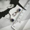 Серебряные серьги с натуральным сапфиром 3.628ct, фианитами (2202653)