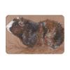 Roan guinea pig Non-slip Doormat Floor Mat Sand Scraping Carpet Rug for Kitchen Entrance Home Bathroom Footpad Mats