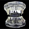 Top Bottom Set Teeth Grillz Comfortable Halloween Tooth New Dental Grills  Cosplay