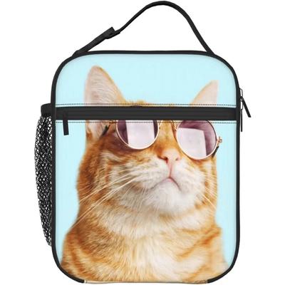 Sonnenbrille Katze Thermische Lunchbox Isolierte Lunchtaschen für Frauen Männer Mädchen Jungen Abnehmbarer Griff Lunchbox Mahlzeit Tragetasche