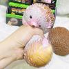 TPR Cartoon Hedgehog Decompression Toys Quick Rebound  Fun   Christmas