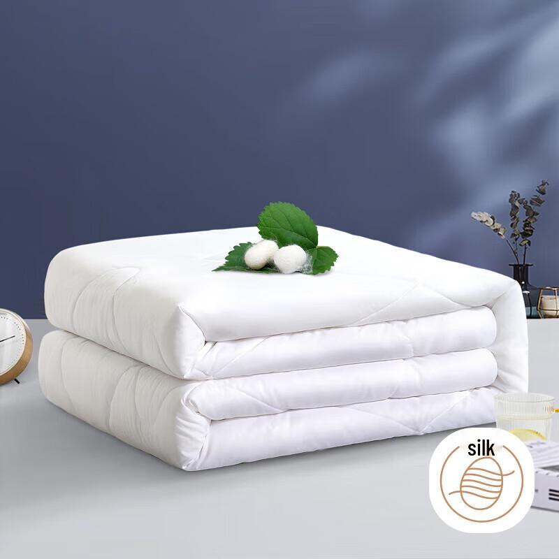 Fuanna Qinya Silk Quilt