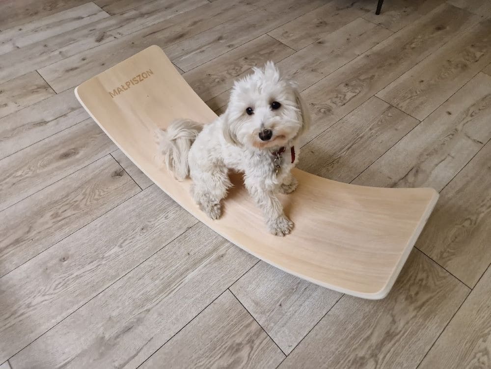 Balance board  Wooble Lama Smile pink