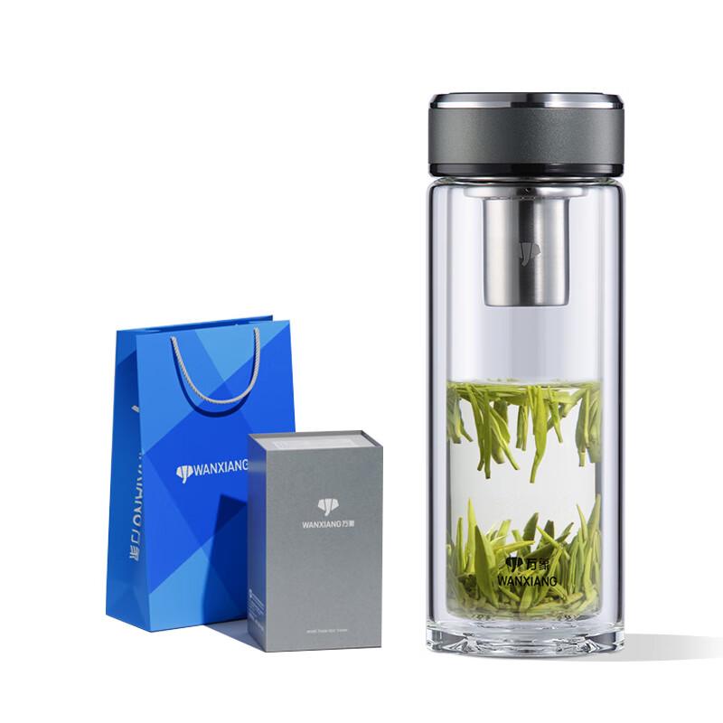 V331RL Double-Layer Glass Travel Tea Infuser Bottle