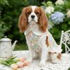 Ruffle Dog Princess Dress Floral Printed Dog Floral Skirt Puppy Summer Clothing  Outdoor Activity