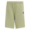 Boys Sereno Logo Training Shorts