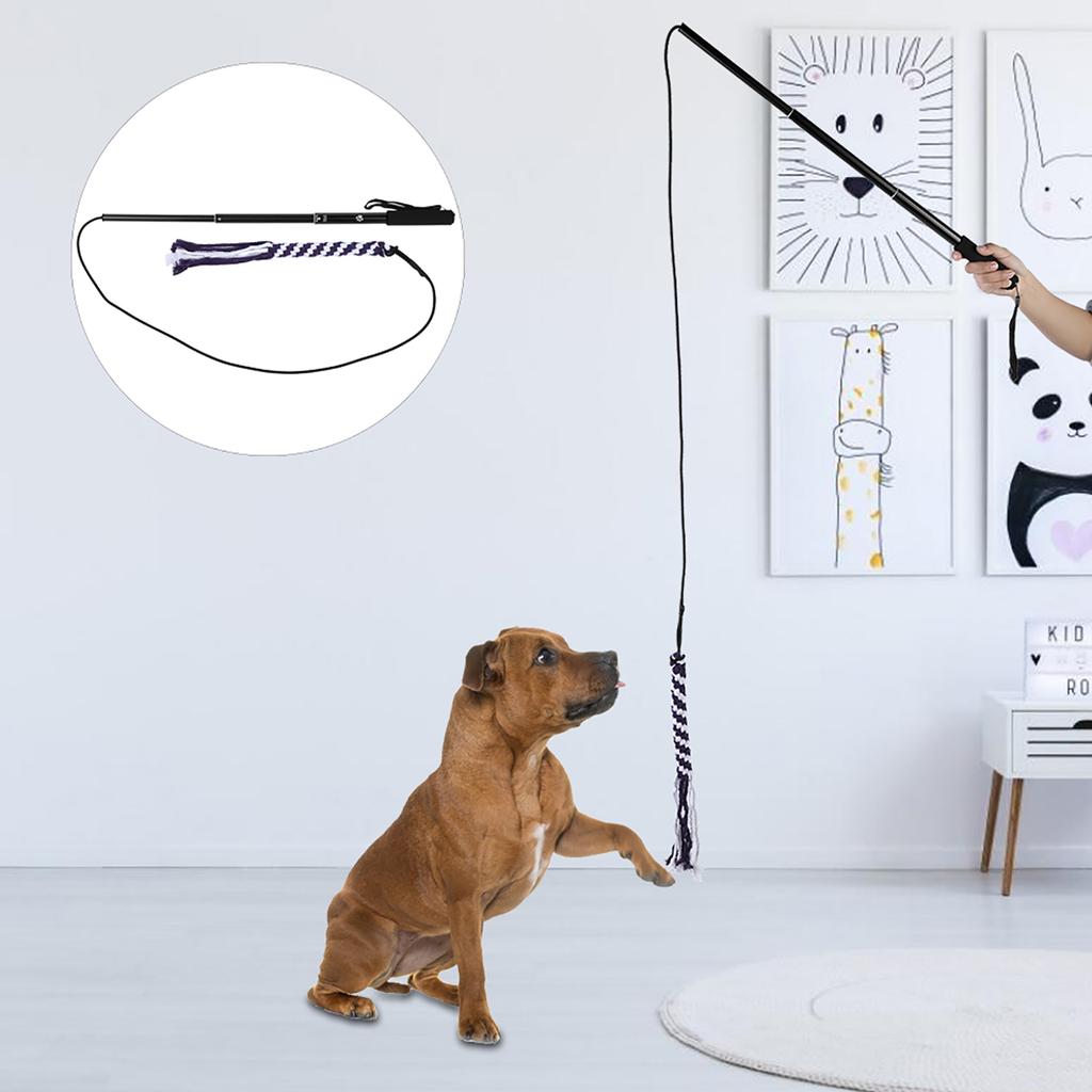 Dog Toys Retractable Stick Cat Teaser Training Play Wand Pet Get More Exercise(Black L)