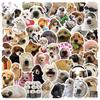50 Internet Celebrity Cat Emoji Stickers: Waterproof, Perfect for Suitcases, Notebooks, Guitars, and More!