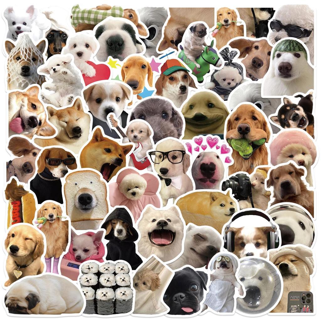 50 Internet Celebrity Cat Emoji Stickers: Waterproof, Perfect for Suitcases, Notebooks, Guitars, and More!