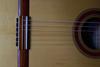 ROSETTE Diamond Secure Tiblock D2BL String Tie
