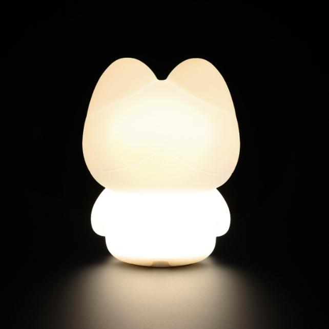 EXO ベッキョン　TEOLAGI MOOD LAMP Buy Pre-order EXO BAEKHYUN TEOLAEGI Mood Lamp at affordable