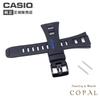 PYS Band Strap with Spring Bars STW-1000