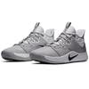 Nike Pg 3 Team Wolf Grey CN9512-004