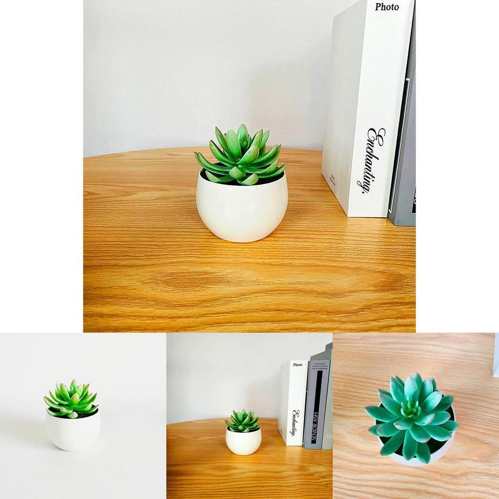 Artificial Succulent Plant Container With Injection Molded Pvc For Living Room Decoration