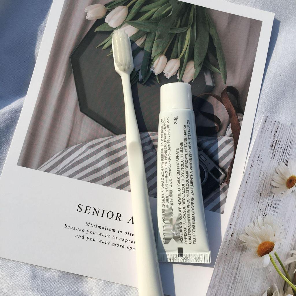 Muji Style Toothpaste & Toothbrush Travel Kit - Hotel & Dental Gift Set Available