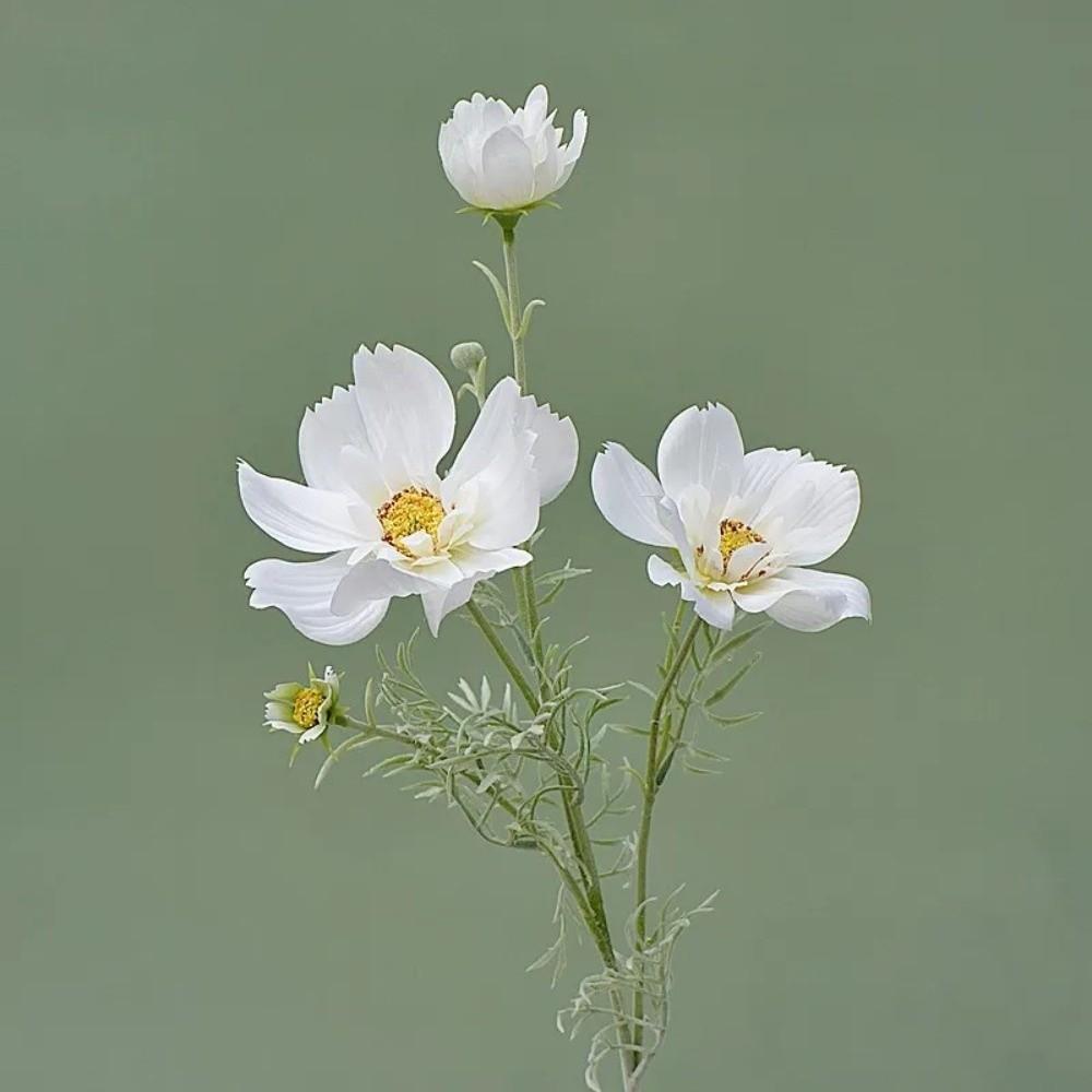 77CM Length Artificial Cosmos Flower Branch Elegant Design Fake Flowers  Photography Background
