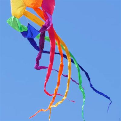 Flyer Kite Δημοφιλής περιστρεφόμενος σωλήνας Πρακτική διακόσμηση Σταθερό Εύκολο στη χρήση Long Tail Soft