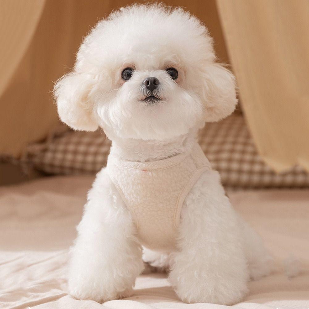 New Dog Clothes Thickened Cartoon Bear Pet Coat Windproof Keep Warm Puppy Clothes Vest For Small Medium Dog