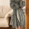 Women's Slimming Long Sleeve Floral A-line Dress - French Style, Spring/Autumn