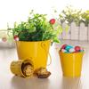 Mini Metal Flowerpots Bucket Tin Candy Gift Box Garden Pots Planters Succulent Pot Balcony Planters Hook Flower Pot Garden Tubs