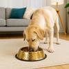 Anti-fall Large Capacity Pet Feeding Bowl Gold Plated Stainless Steel Dog Food Basin Metal Anti Slip Cat Food Dish For Dogs Cats